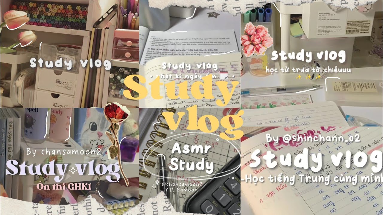 #Chap19 #xh #tiktok #studyvlog #studywithme  ◞  ✧ 🍶༉ Tổng hợp các video study vlog trên tiktok ◞ ✧ 🧺