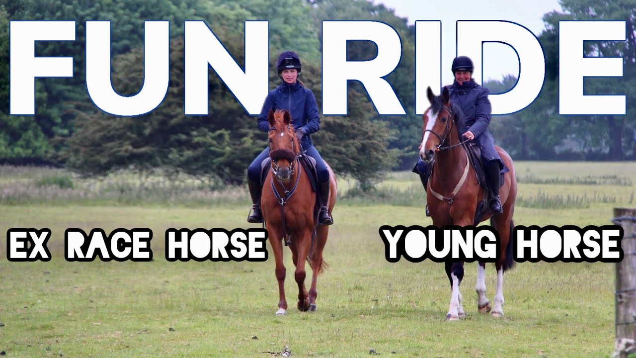 FIRST FUN RIDE WITH MY EX RACE HORSE