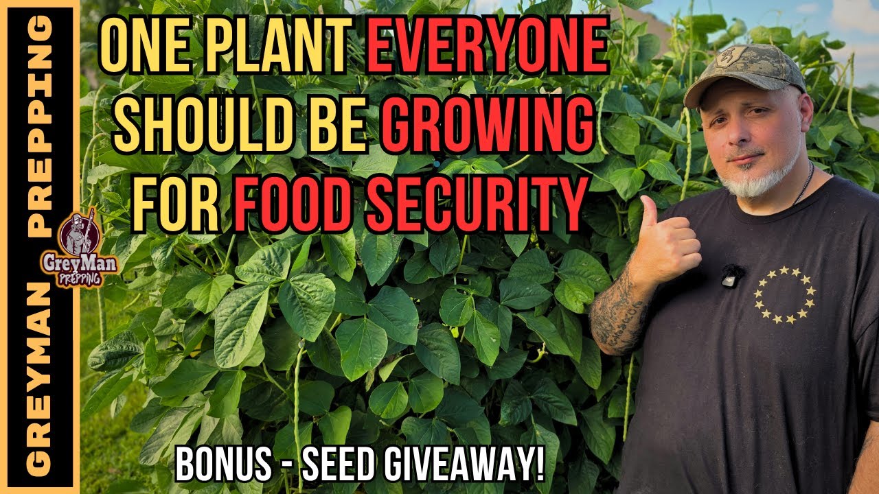The One Plant Everyone Should be Growing | Black Beans