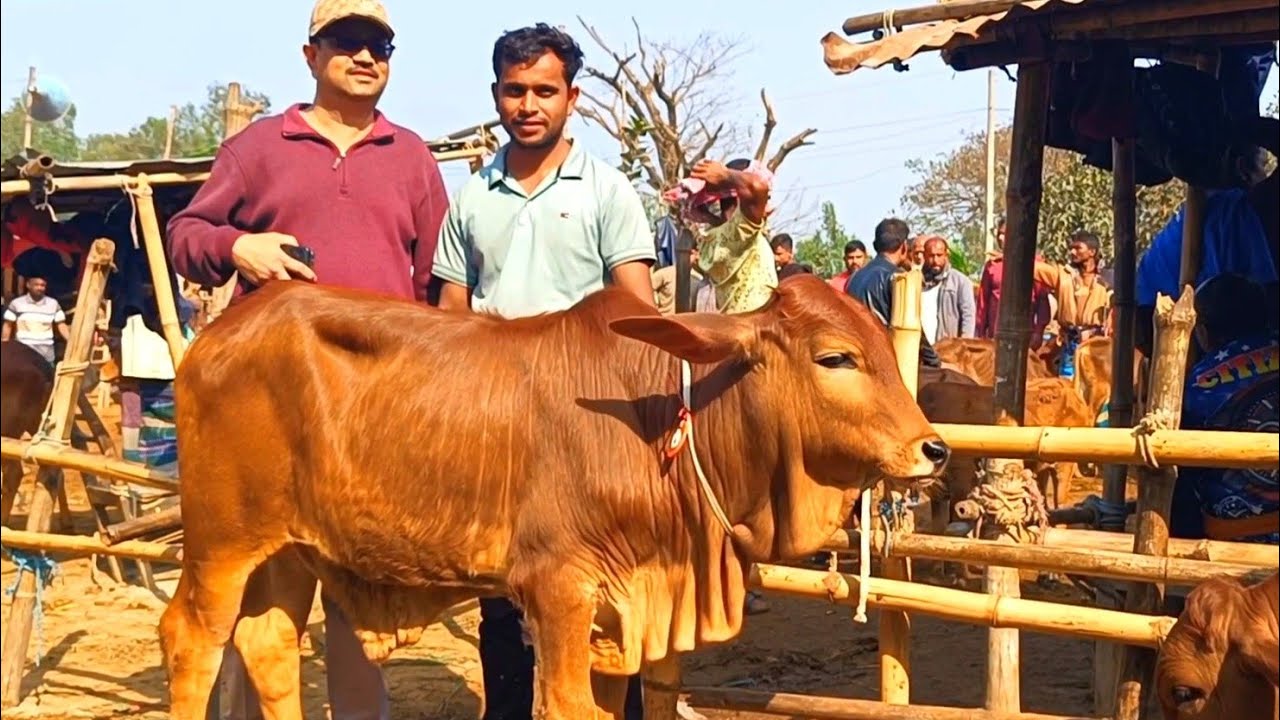 @আজ ১লা ফেব্রুয়ারি