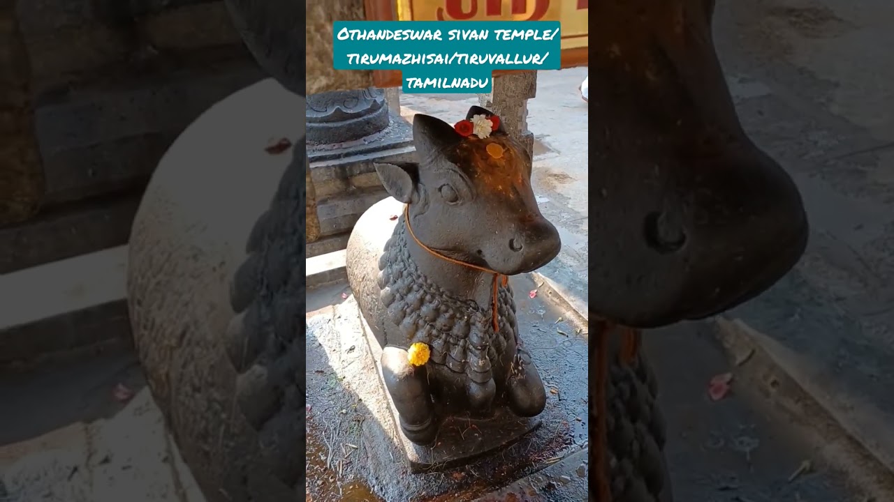 #othandeswar #sivan #temple #tirumazhisai #tiruvallur #tamilnadu #omnamahshivaya #shorts
