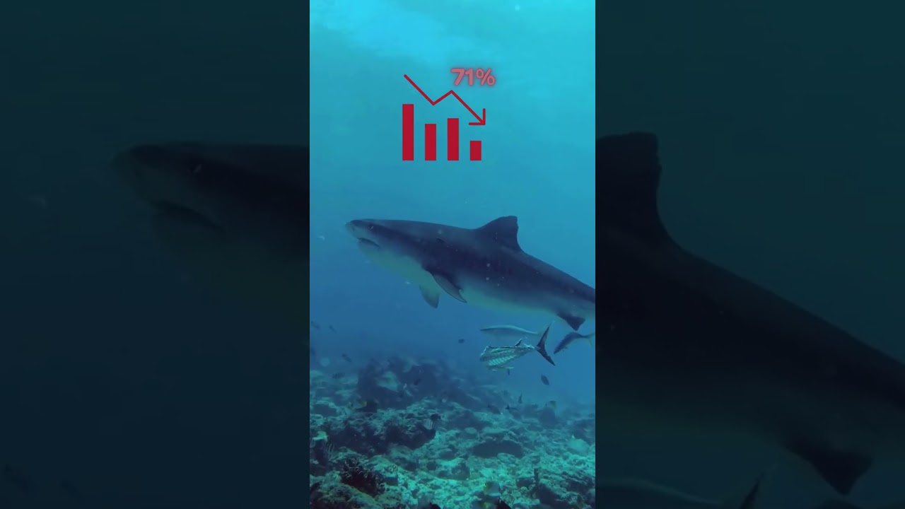 The Ocean & Us | Seafood