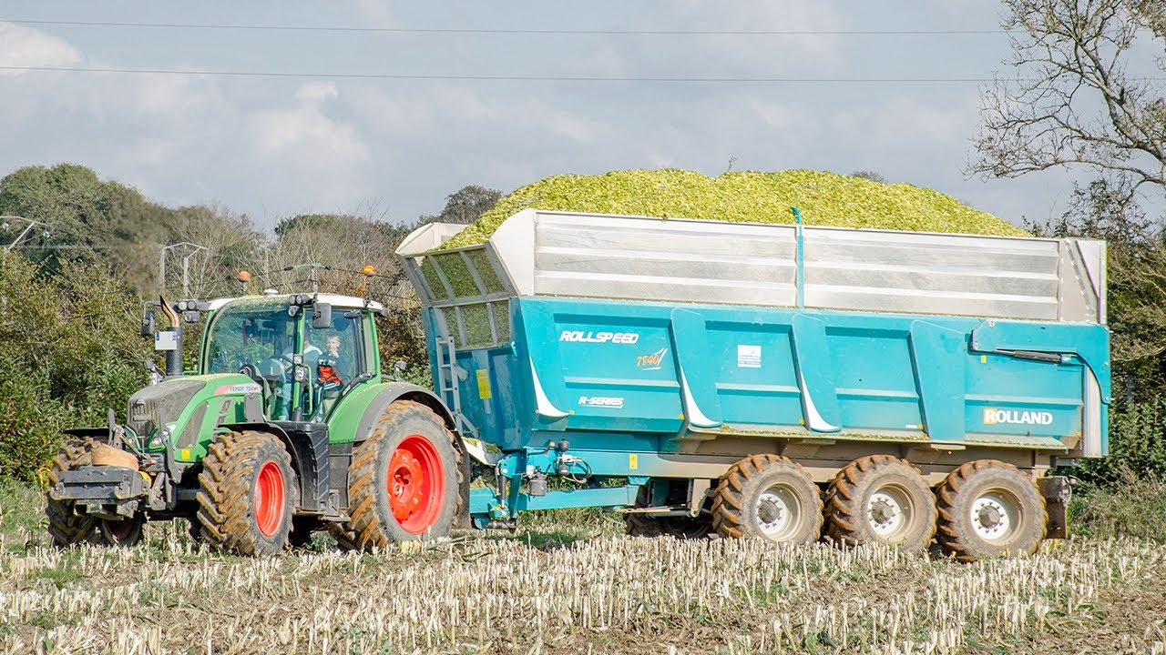 ENSILAGE 2021 - Jaguar 970 ! 🌽