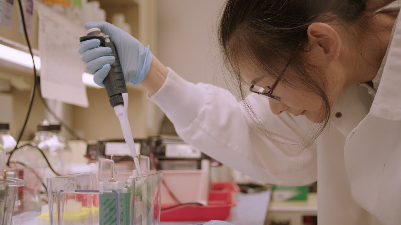 A bold idea could SPARK the next biomedical breakthrough | 2026 SPARK Awards Finalists