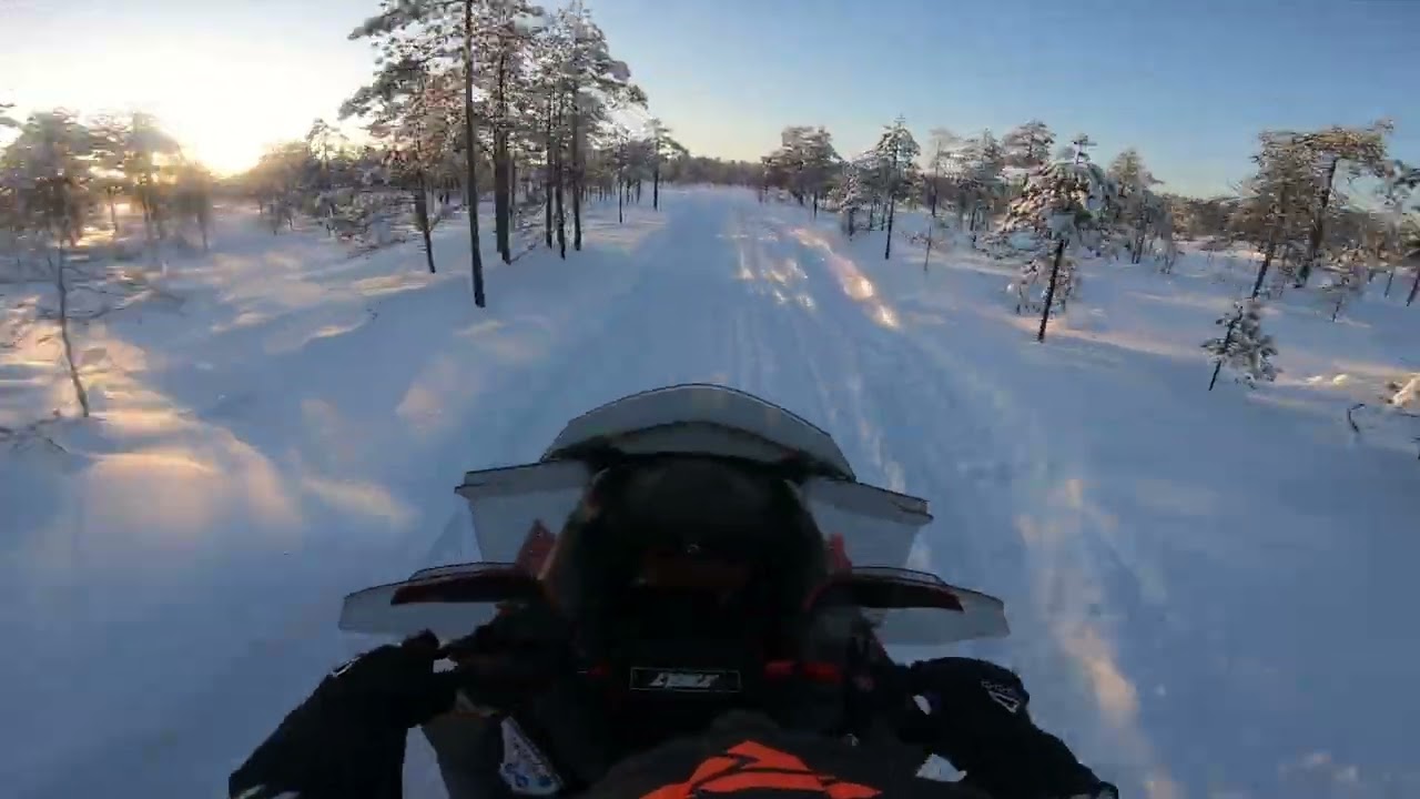 Kelkkailua Vaala-Rokua Lynx Rave 2025