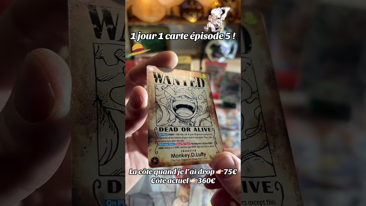 Petite wanted de luffy! 