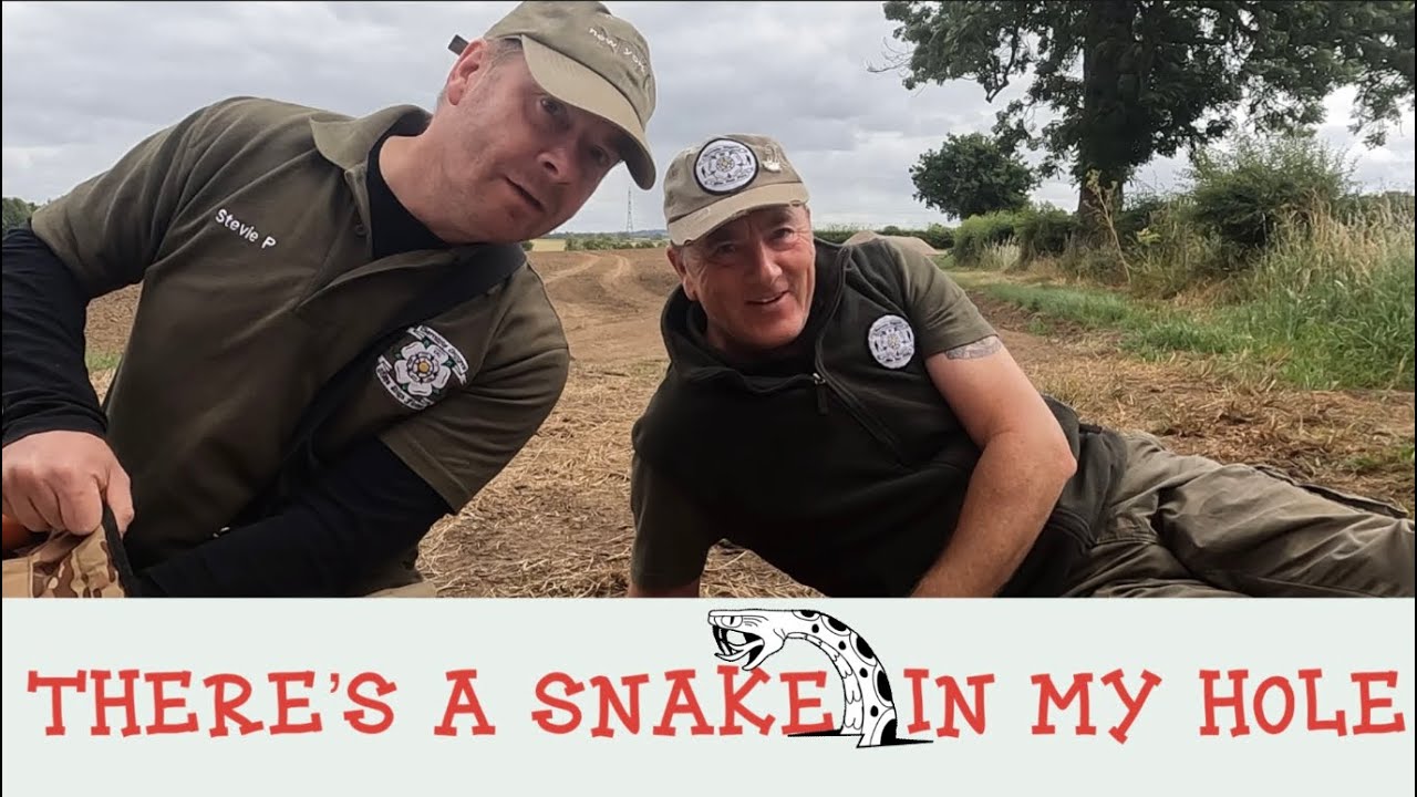 There&rsquo;s a Snake in my Hole | Minelab Equinox | Metal Detecting UK