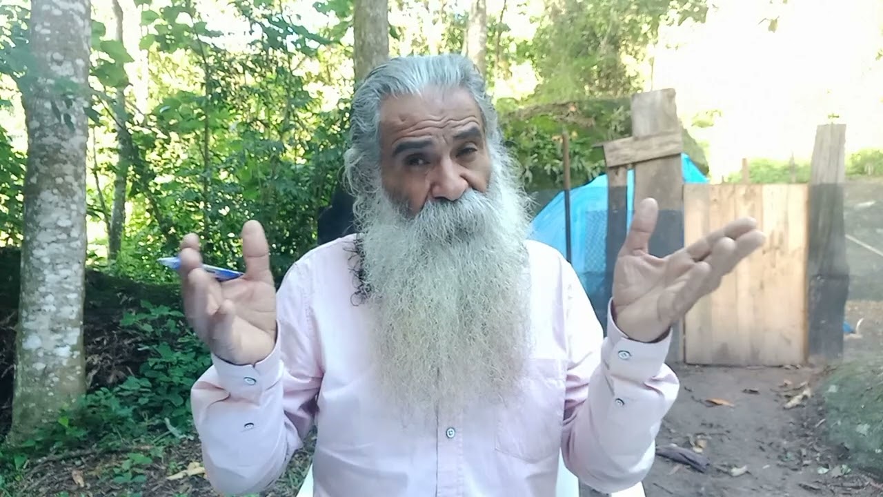 A ARCA DE NOÉ EXISTIU?
