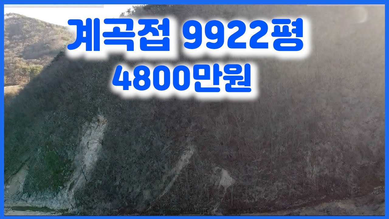 2176. 경북 경주시 문무대왕면 권이리,계곡접 9922평,4800만원