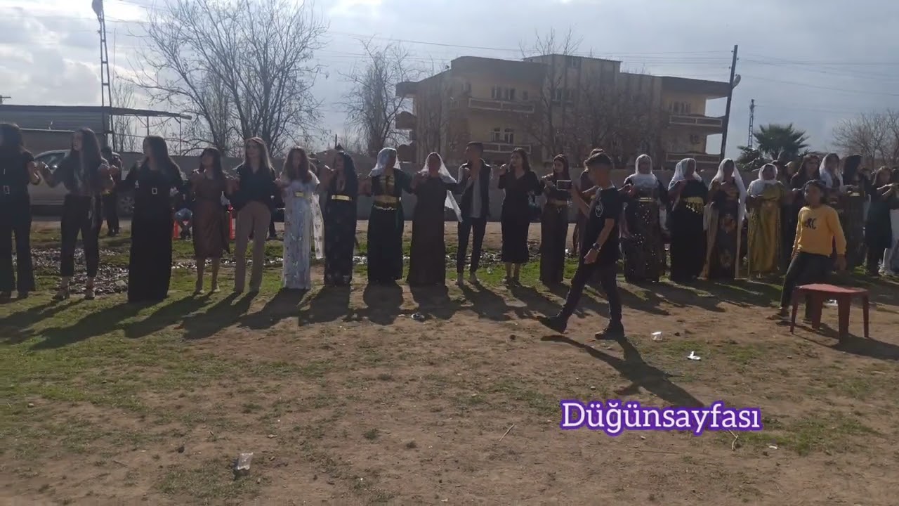 Kuçer Cıziri Tayan Kerevan Aşireti Nesim Tunç Düğünü 2022 Kavaközü Rıbeye Köyü