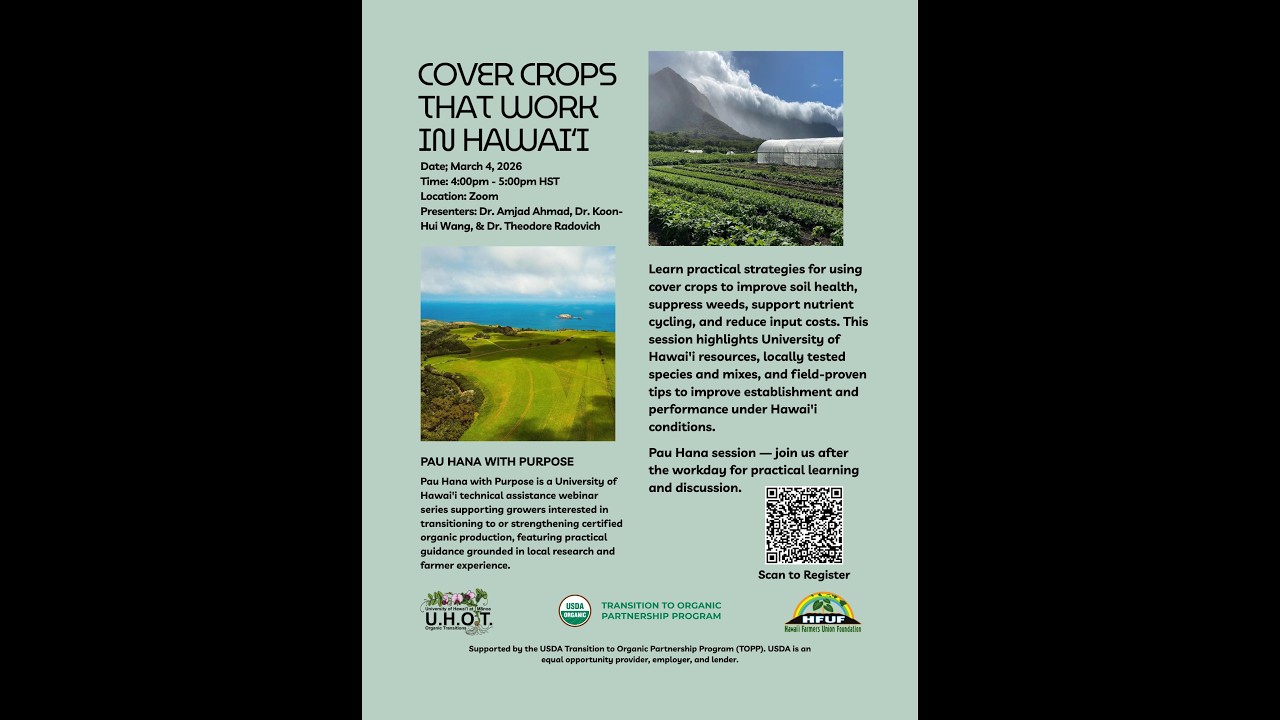 Cover Crops That Work In Hawaii