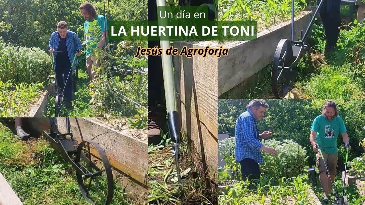 LA HUERTINA DE TONI pone a prueba nuestra CICLOAZADA