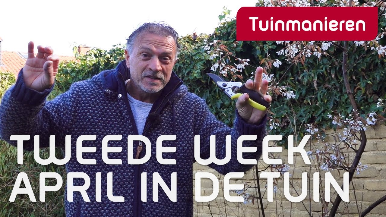 Tweede week april, half april in de tuin | April 2022 | Tuinmanieren