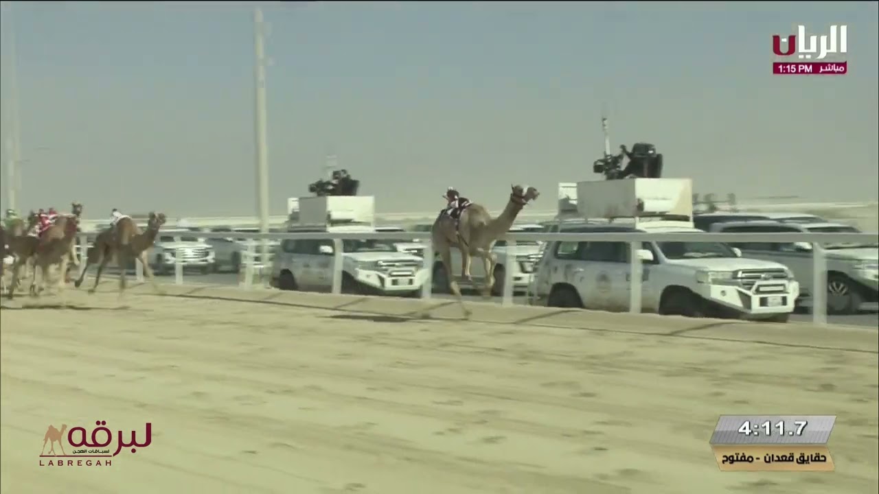 ش2 المستشار لـ فيصل راشد عبدالله المنصوري (مهرجان المؤسس 19-12-2024م) خنجر الحقايق قعدان 5:57:43