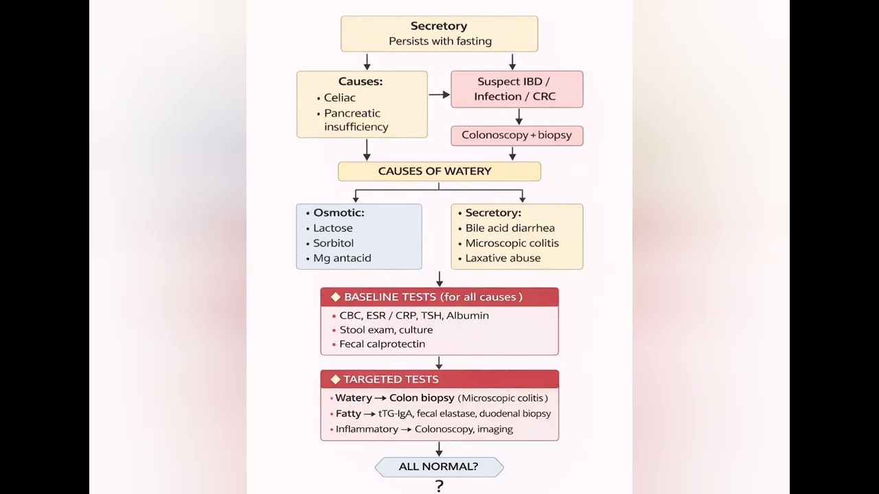 روشته ( رمضان ٢٠٢٦ ) الحلقه الاخيره .. chronic diarrhea approach 