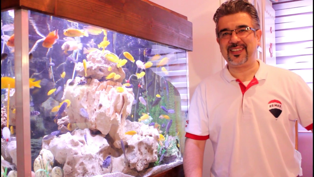 CiKLETLER HANGi MEYVELERi YER CHALLENGE (Akvaryum Balıkları Sarı Prenses Yemi Akvaryumu)