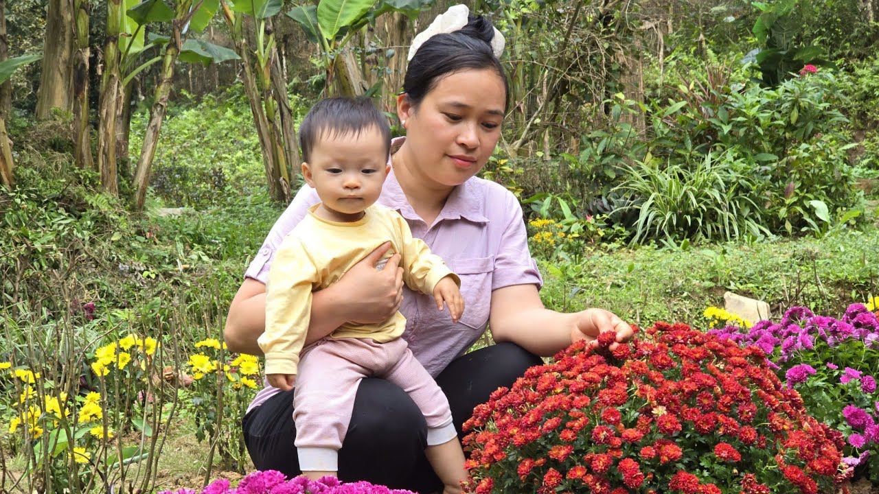 A Lush Green Farm, a Peaceful Life Caring For Livestock. | Ly Thi Ca