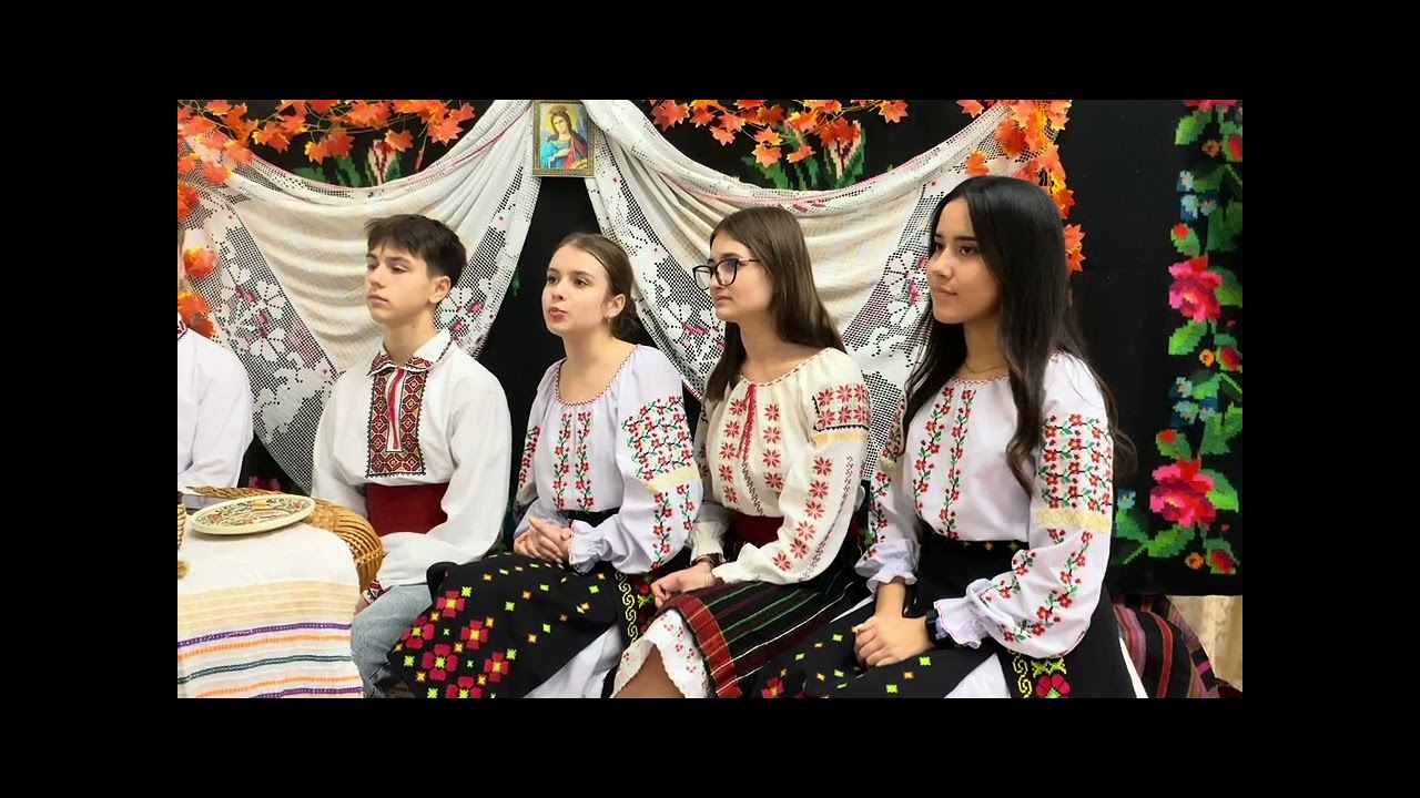 Clasa 10 ,,B” , L.T. ,,Aurel David” , podcast la tema ,,diversitatea culturală” (Frunza Nucului)  