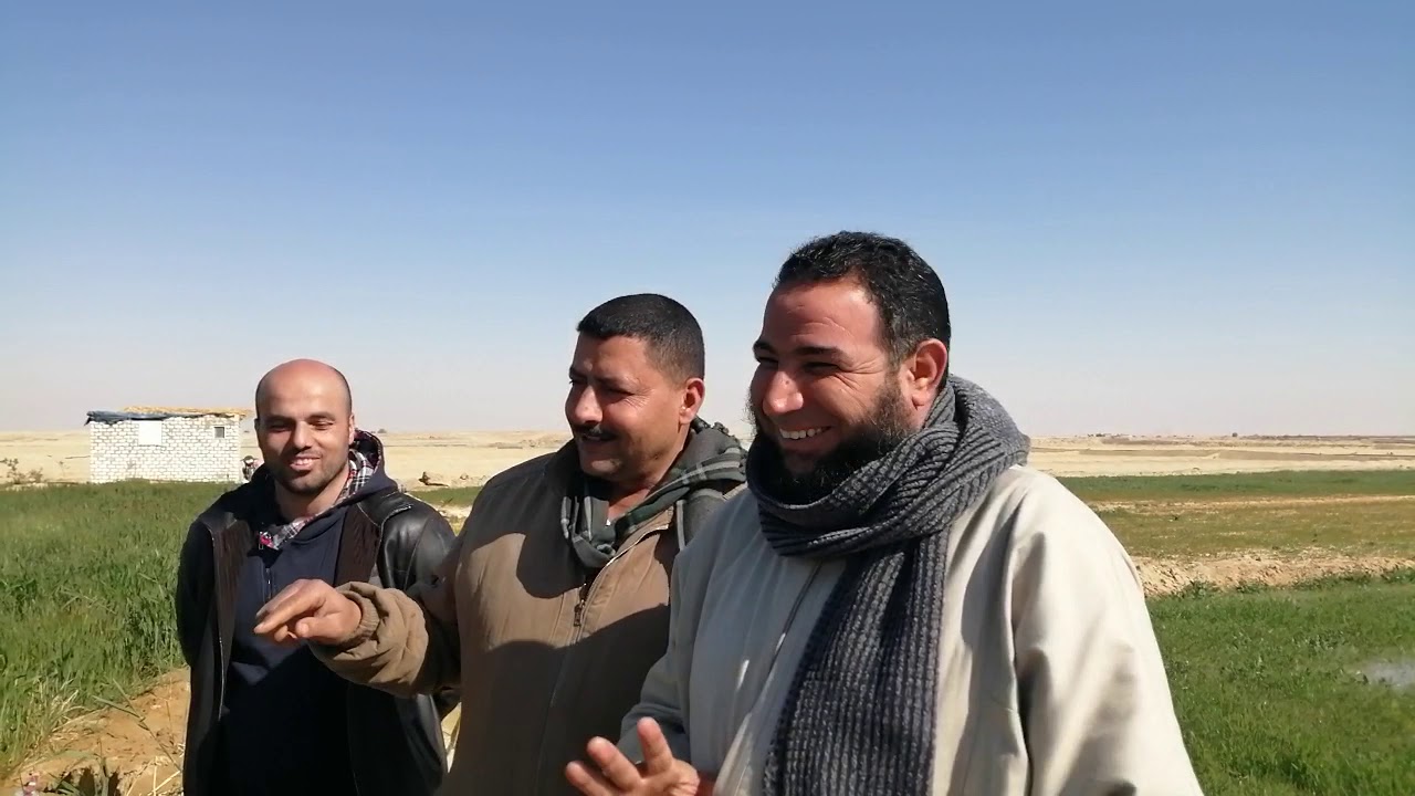 م مصطفى حللنا مشكله العيز مكسب سريع 🎤بشركه الفلاح بالفرافره ت ٠١٢٠٥٠٥٣٥٠٧ ت ٠١٠٠٨٧٩١٢٨٥ اسامه الفار