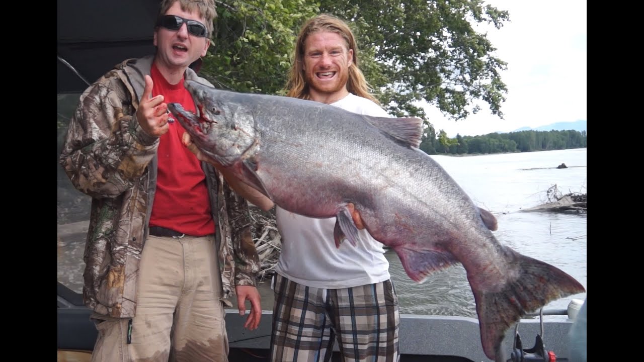 Massive King Salmon Caught Bar Fishing