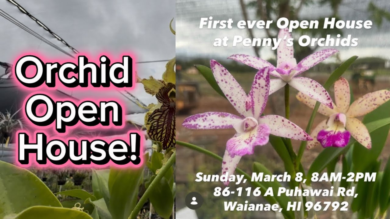 Open House at Penny’s Nursery! Join us for a day of fun! Orchid giveaways! 