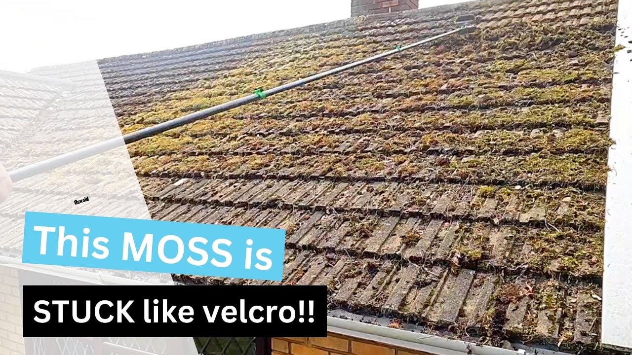 Hardest moss removal yet!!
