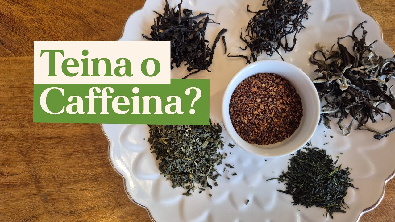 Teina e Caffeina sono la stessa cosa? La verità e i miti da sfatare
