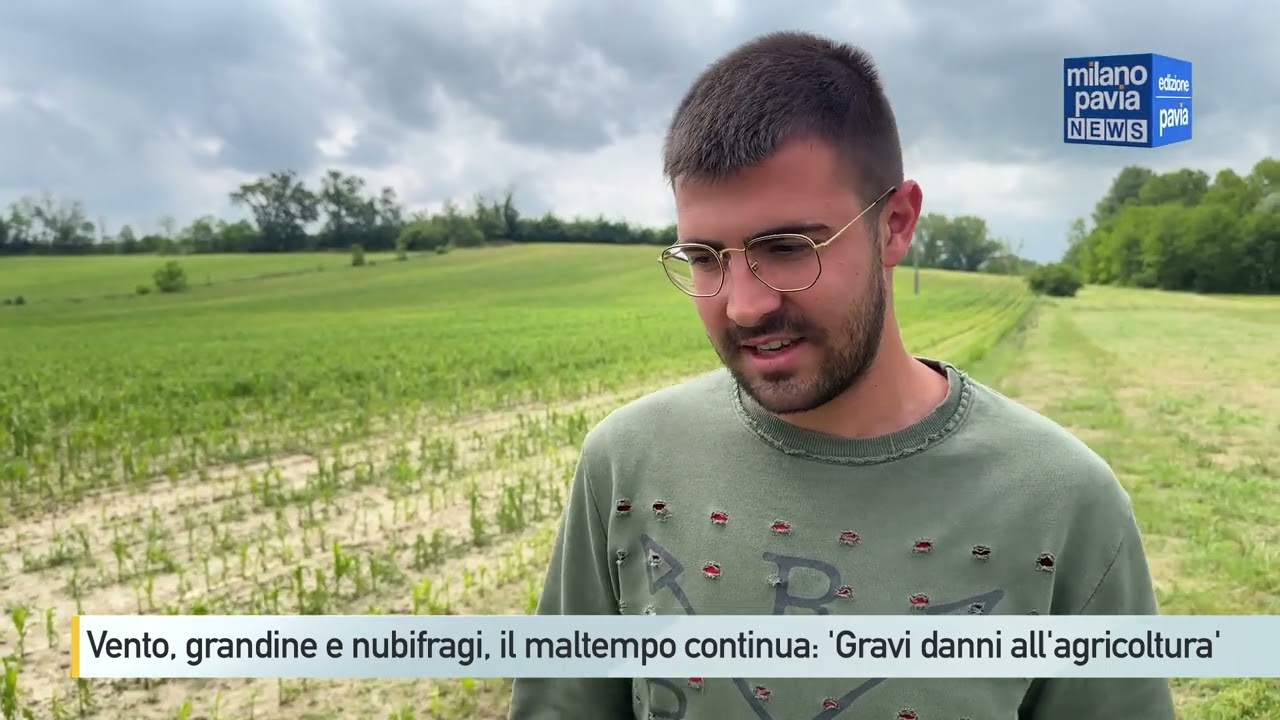 Vento, grandine e nubifragi, il maltempo continua: 'Gravi danni all'agricoltura'