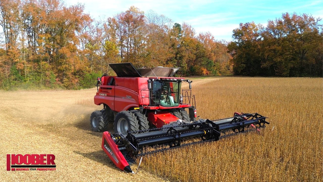 Bearcroft Farms Soybean Harvest With Case IH 7250 Combine
