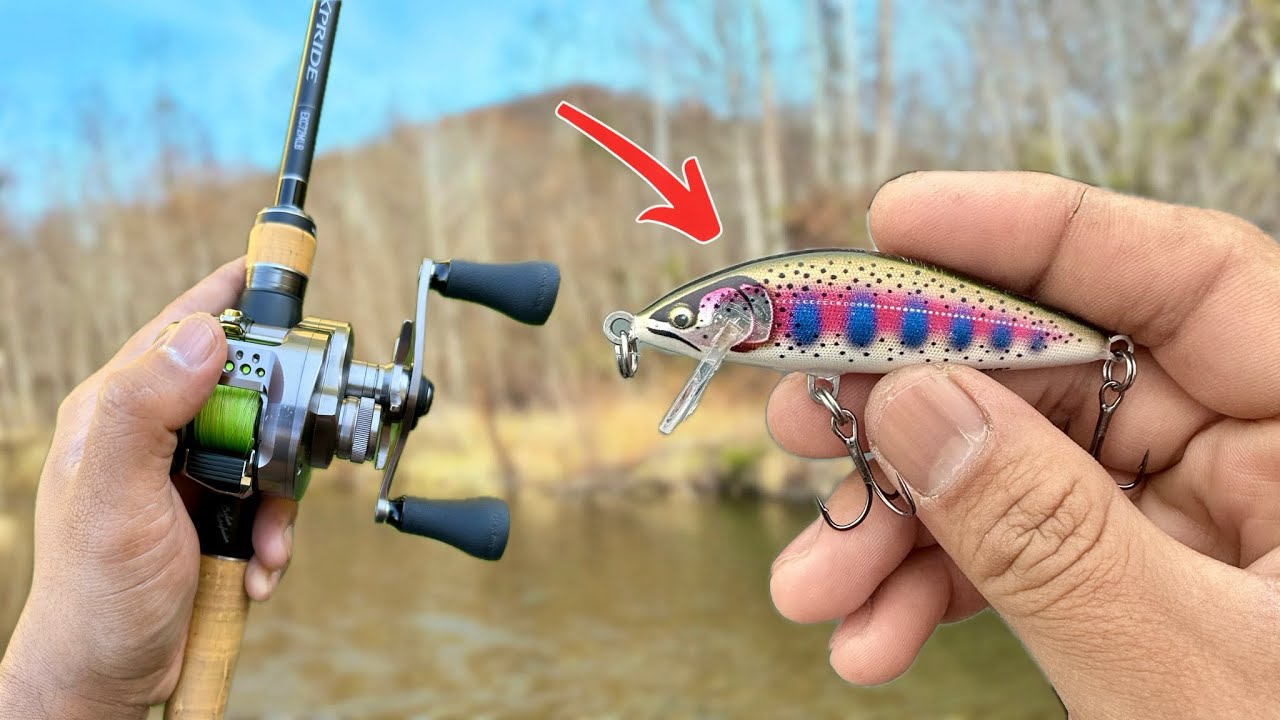 CATCH More Fall Smallmouth Bass With This Crankbait || Rapala Countdown Elite 75