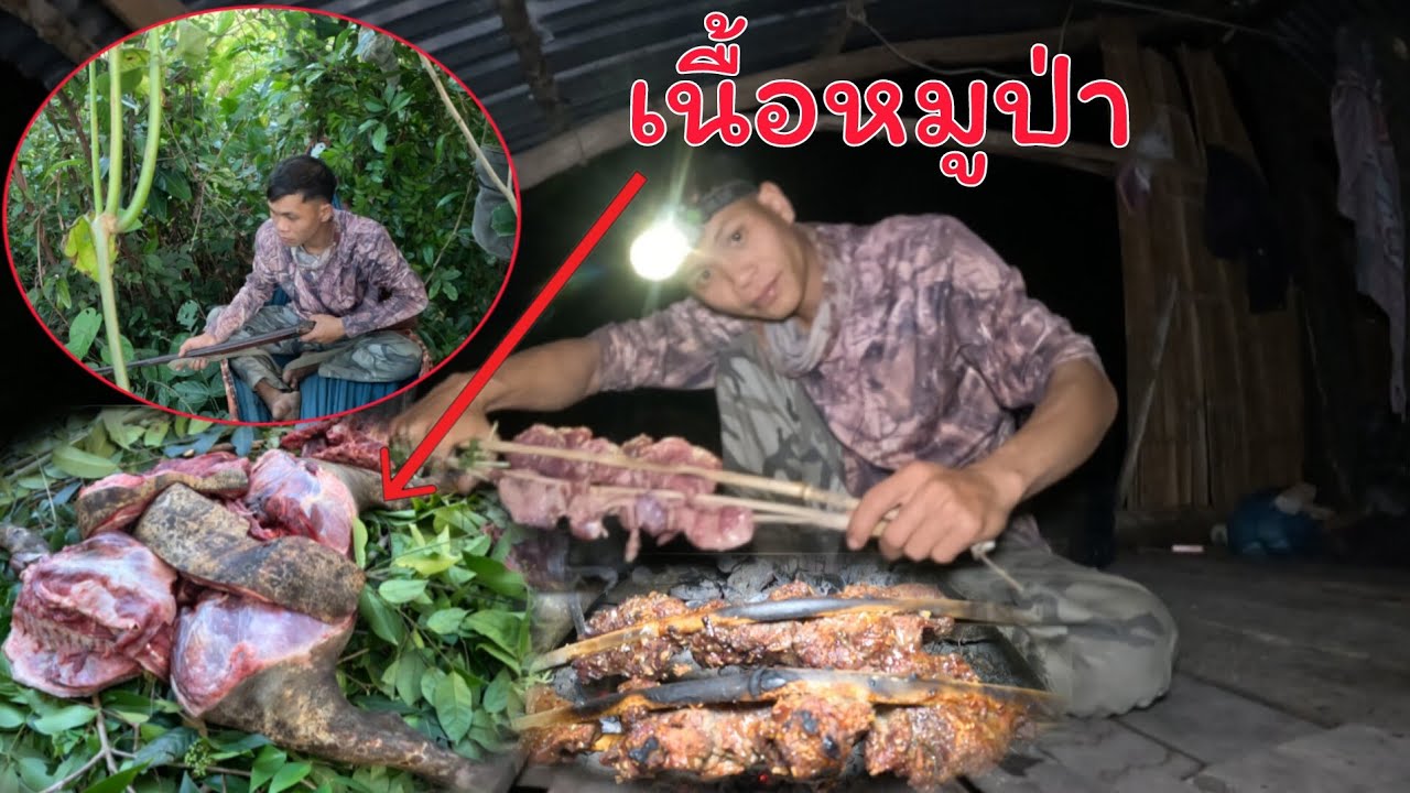 นั่งห้างดักสัตว์เข้าสวนมัน/ນັ່ງຫ້າງເຝິກສັດເຂົ້າກິນມັນ