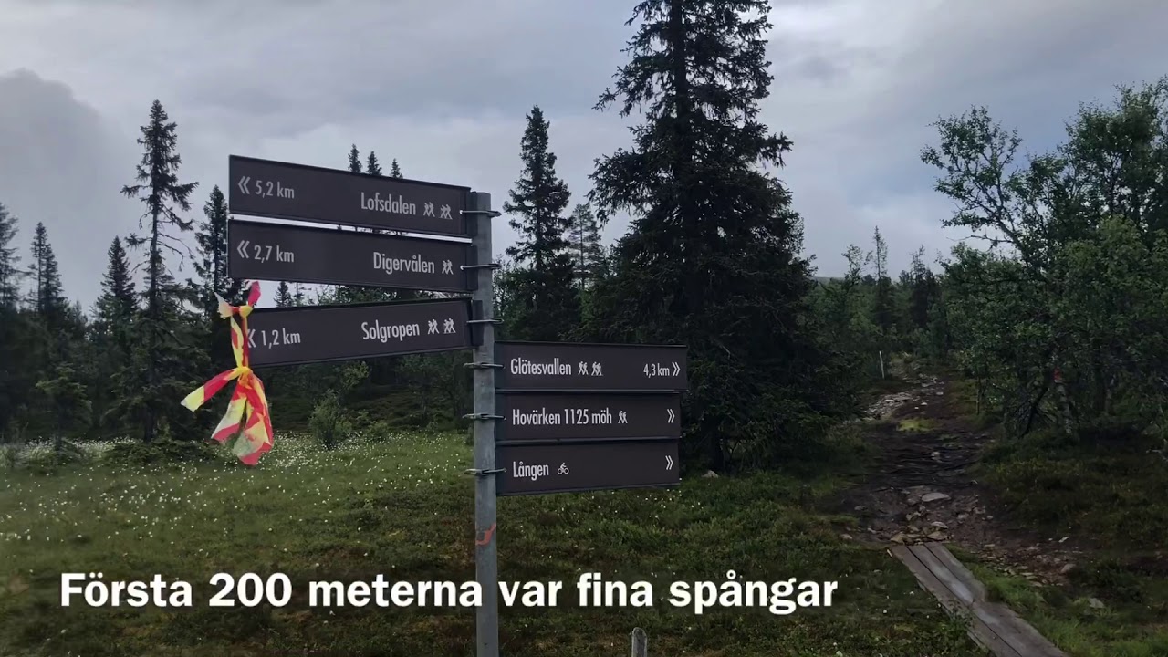 Vandring Lofsdalen