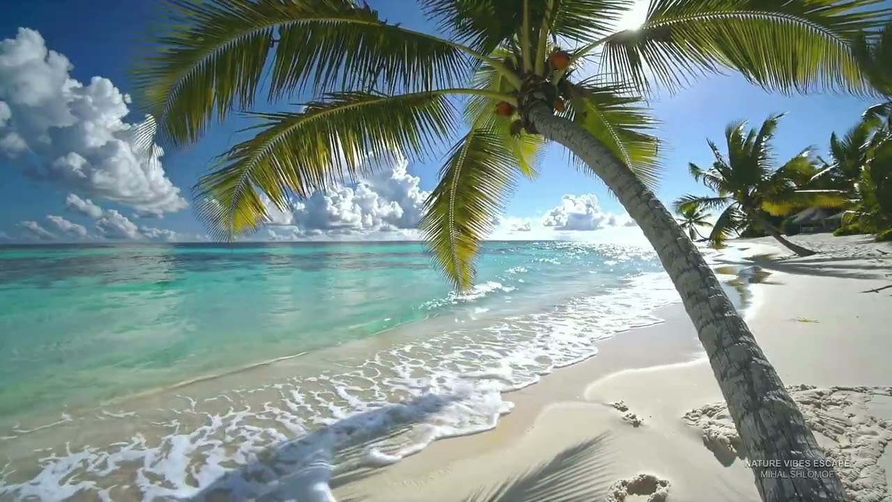 Focus 🎯 French Polynesia Vibe Ocean Sounds | Sleep • Study | 12 Hours 4K 🌴💦
