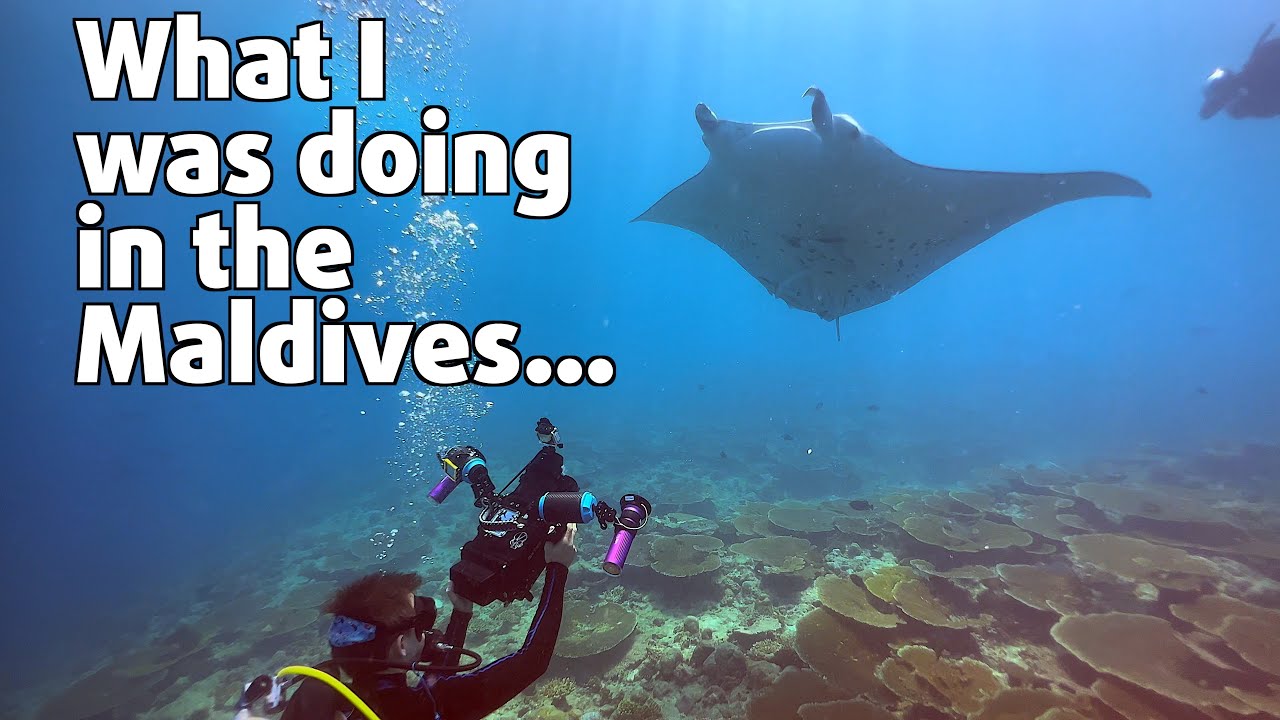 Scuba Diving in the Maldives | Dhangethi Island in the South Ari Atoll