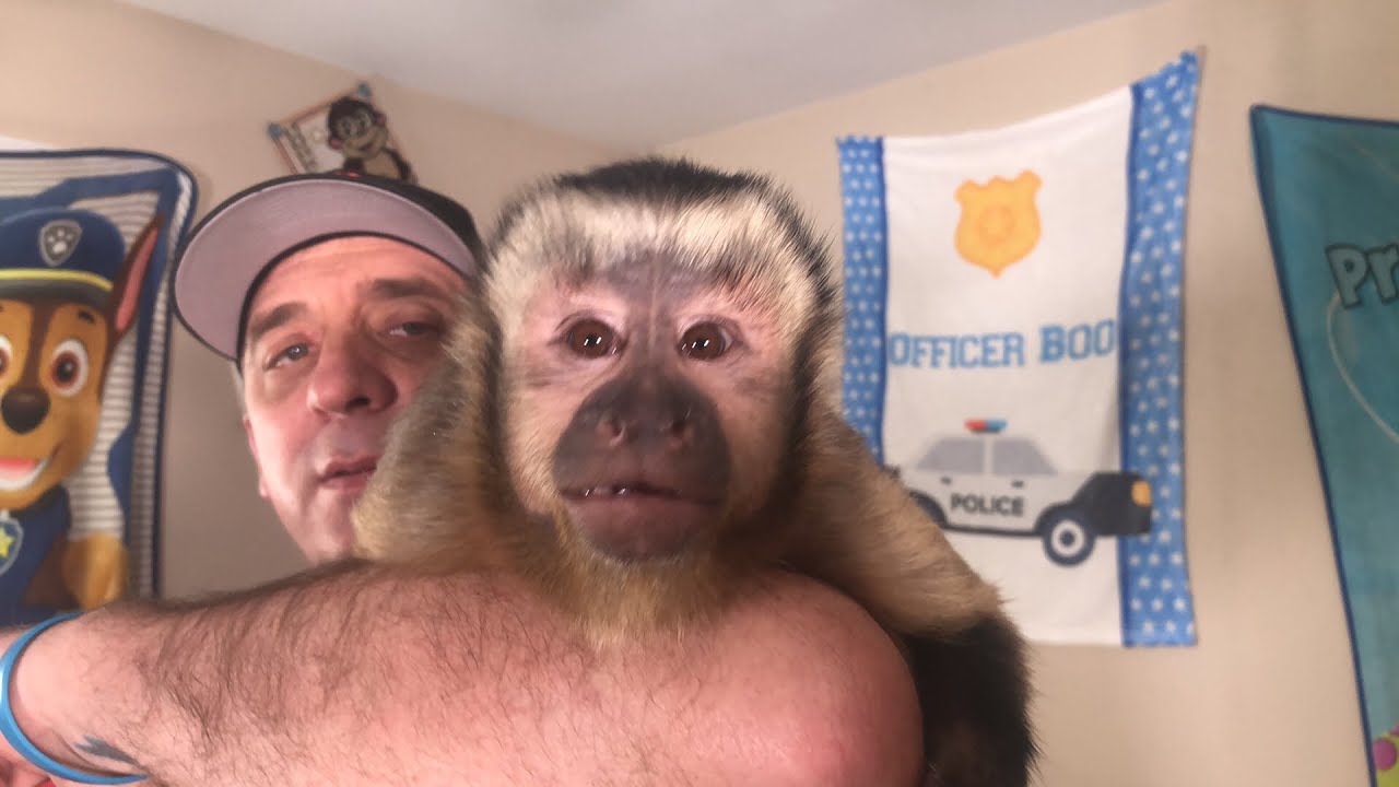 MonkeyHappy Loves MonkeyBoo Playroom ! ( LIVE STREAM )