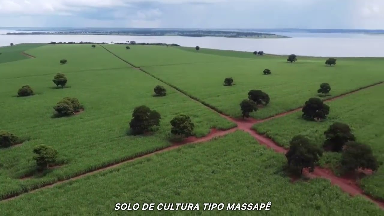 FAZENDA A VENDA EM GOUVELÂNDIA GO  - 755 HECTARES