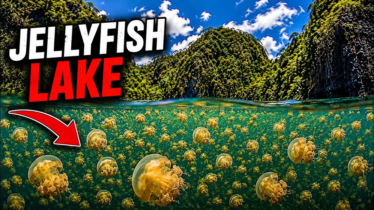 100 Strangest Places and Things You Won't Believe Exist