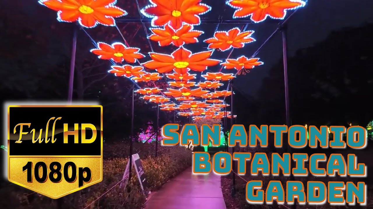 15 Minutes of Walking The Botanical Garden - ILLUMINATE of San Antonio!
