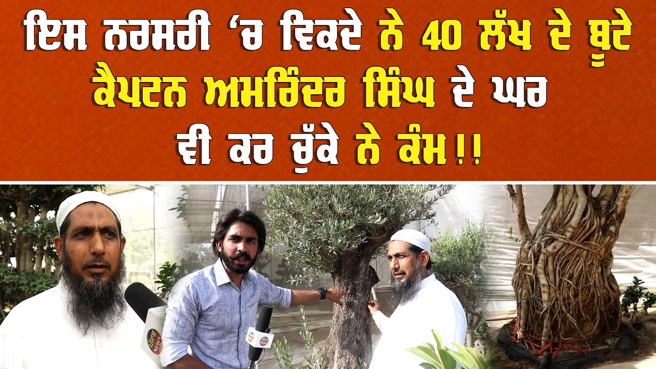 Punjab ਦੀ ਇਸ Nursery ਚ ਵਿਕਦਾ 1-1 ਬੂਟਾ 40- 40 ਲੱਖ ਦਾ !! | Nursery in Malerkotla | Punjab News