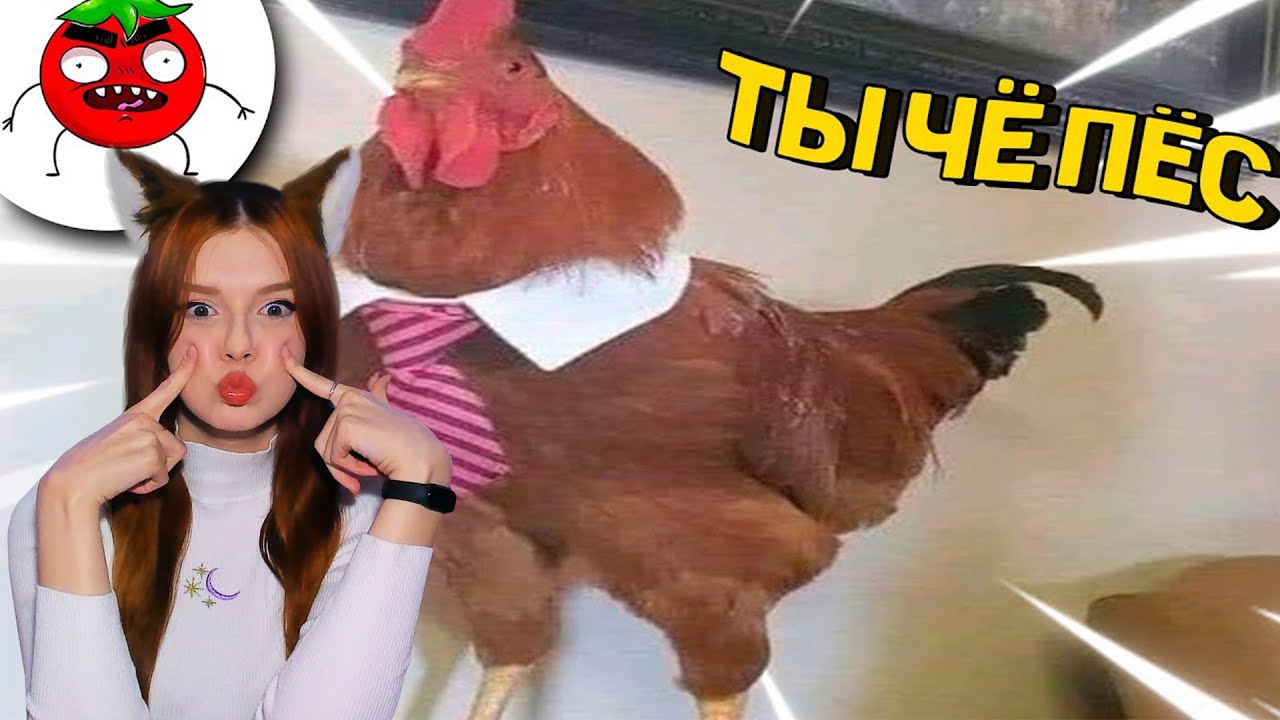 ЗАСМЕЯЛСЯ - ПОДПИСАЛСЯ!! ЛУЧШИЕ ПРИКОЛЫ I 600 СЕКУНД СМЕХА I ТЕСТ НА ПСИХИКУ НЕ ЗАСМЕЙСЯ ЧЕЛЛЕНДЖ