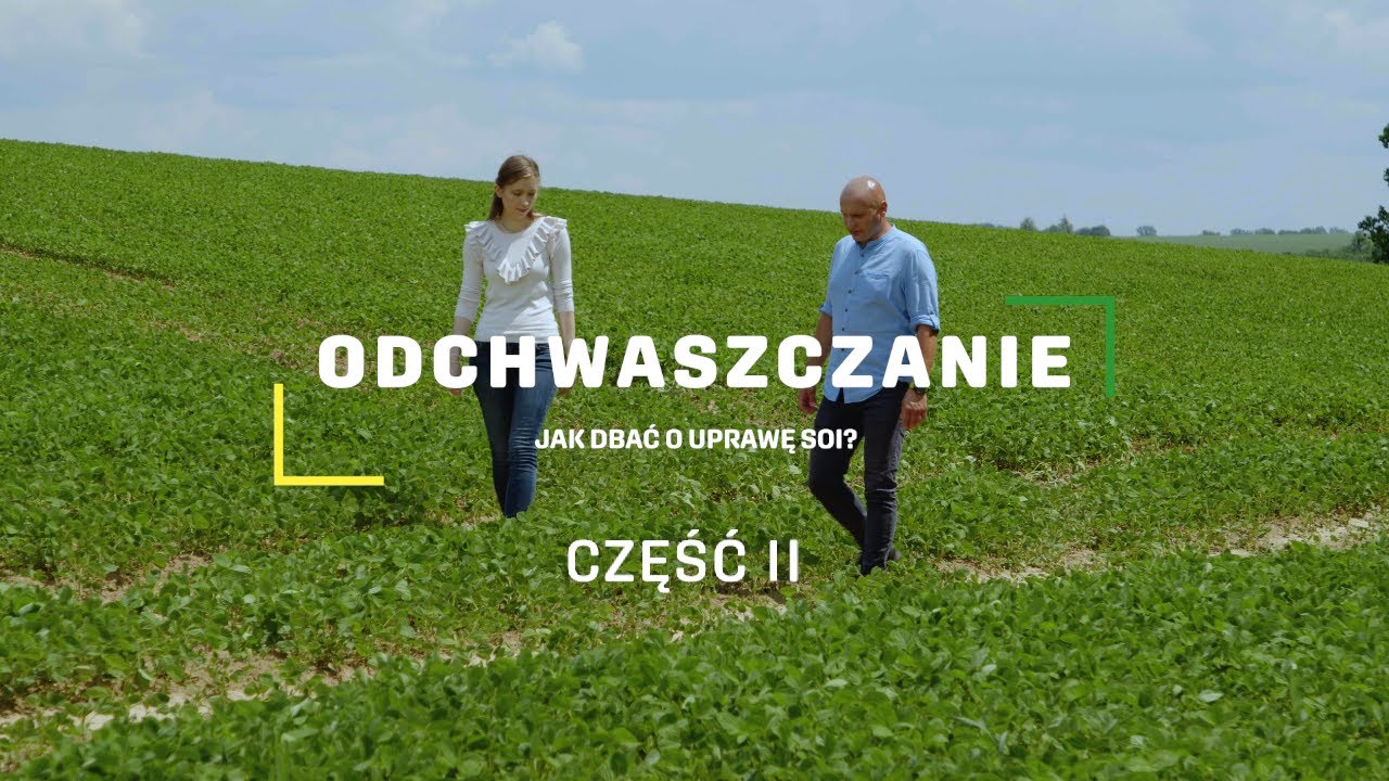 Zabiegi odchwaszczania w uprawie soi cz.2