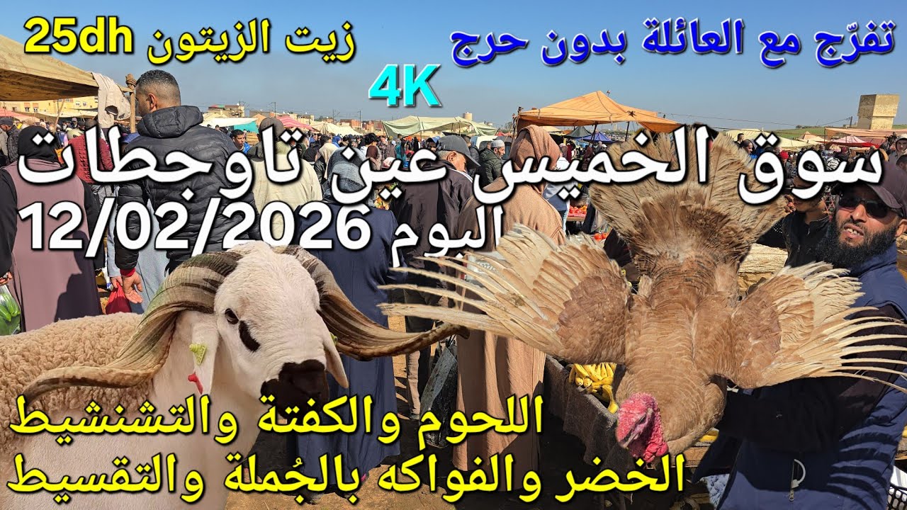 أثمنة الغنم والدجاج واللحوم والخضر سوق الخميس عين تاوجطات اليوم 12/02/2026