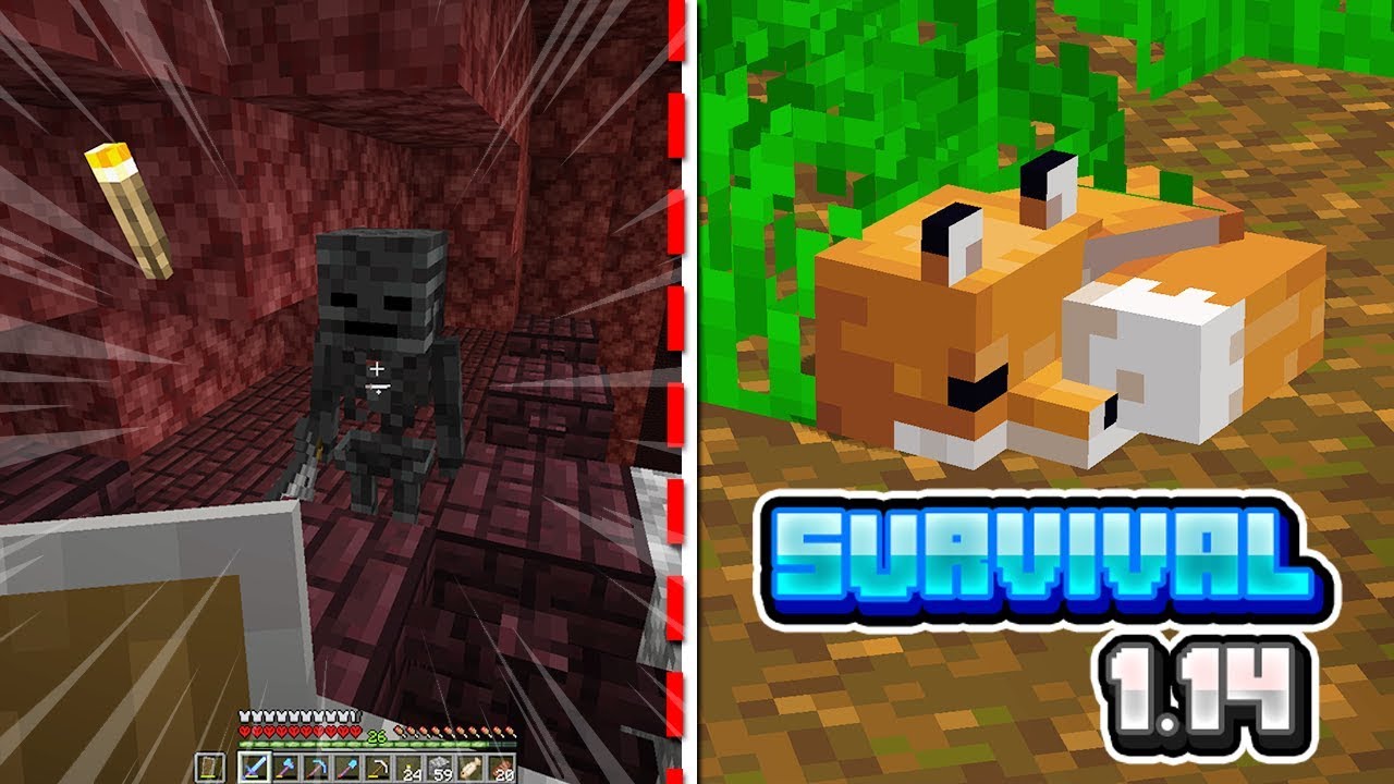MINECRAFT HARDCORE #8- WALKA w NETHERZE i LISEK! :D