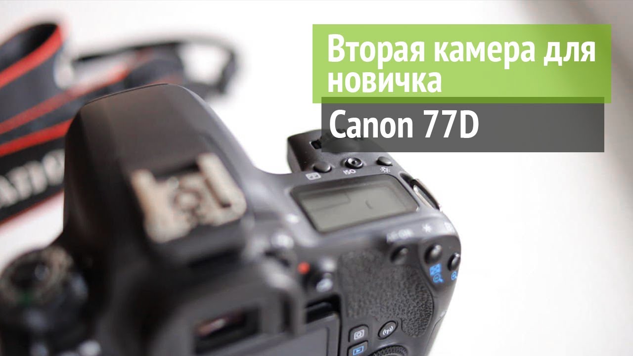 Второй фотоаппарат для начинающего, что выбрать в 2021? Или обзор Canon 77D.