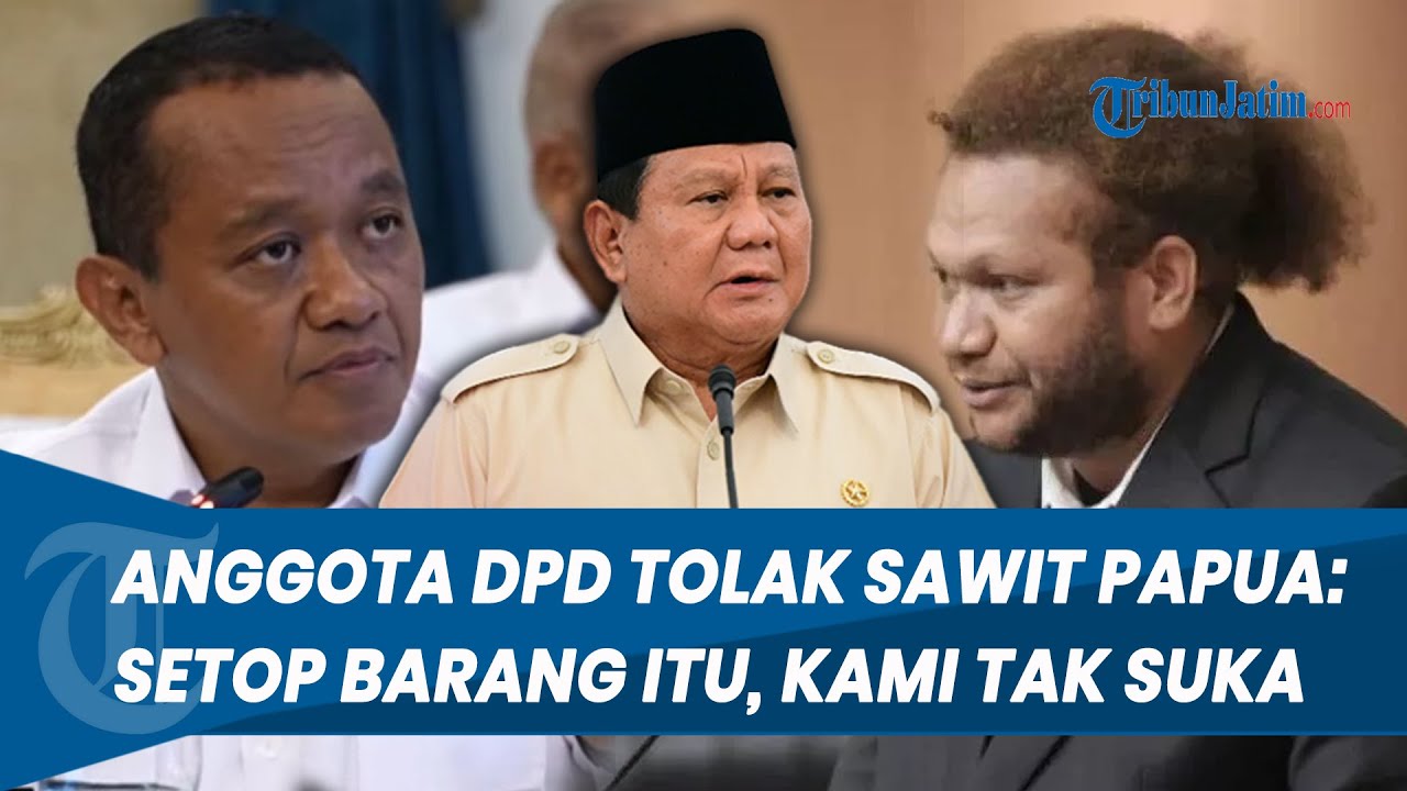 TOLAK WACANA SAWIT! Anggota DPD: Sampaikan ke Pak Prabowo dan Bahlil Setop Barang Itu, Kami Tak Suka