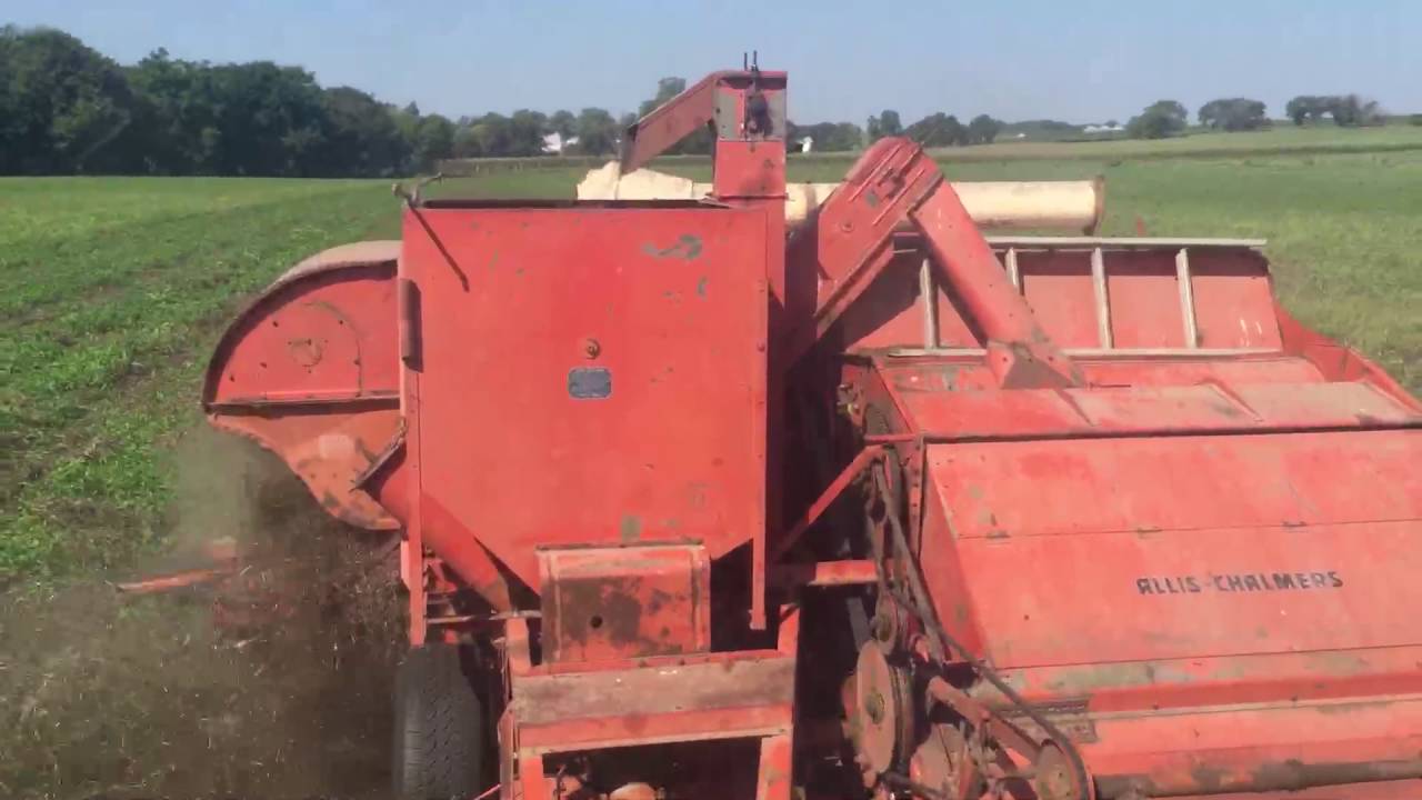 Сочетание семян красного клевера (сертифицированного органического) с Allis Chalmers 72 All-Crop