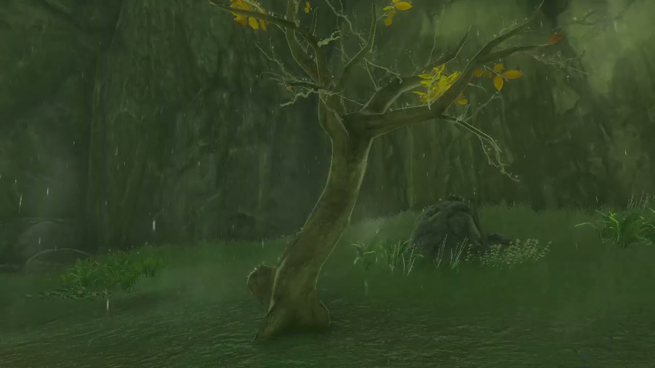 When you stole the Yiga Clan's best banana: