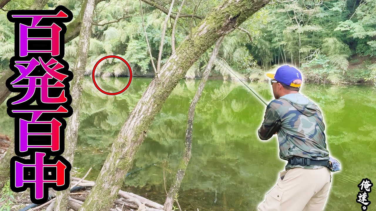 【10月の釣り】確実に仕留めるワザを使う秦拓馬。