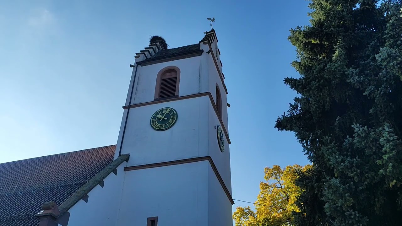 Tuningen (TUT) evang. Michaelskirche : Vollgeläut / Zusammenläuten zu Gottesdienstgebinn 