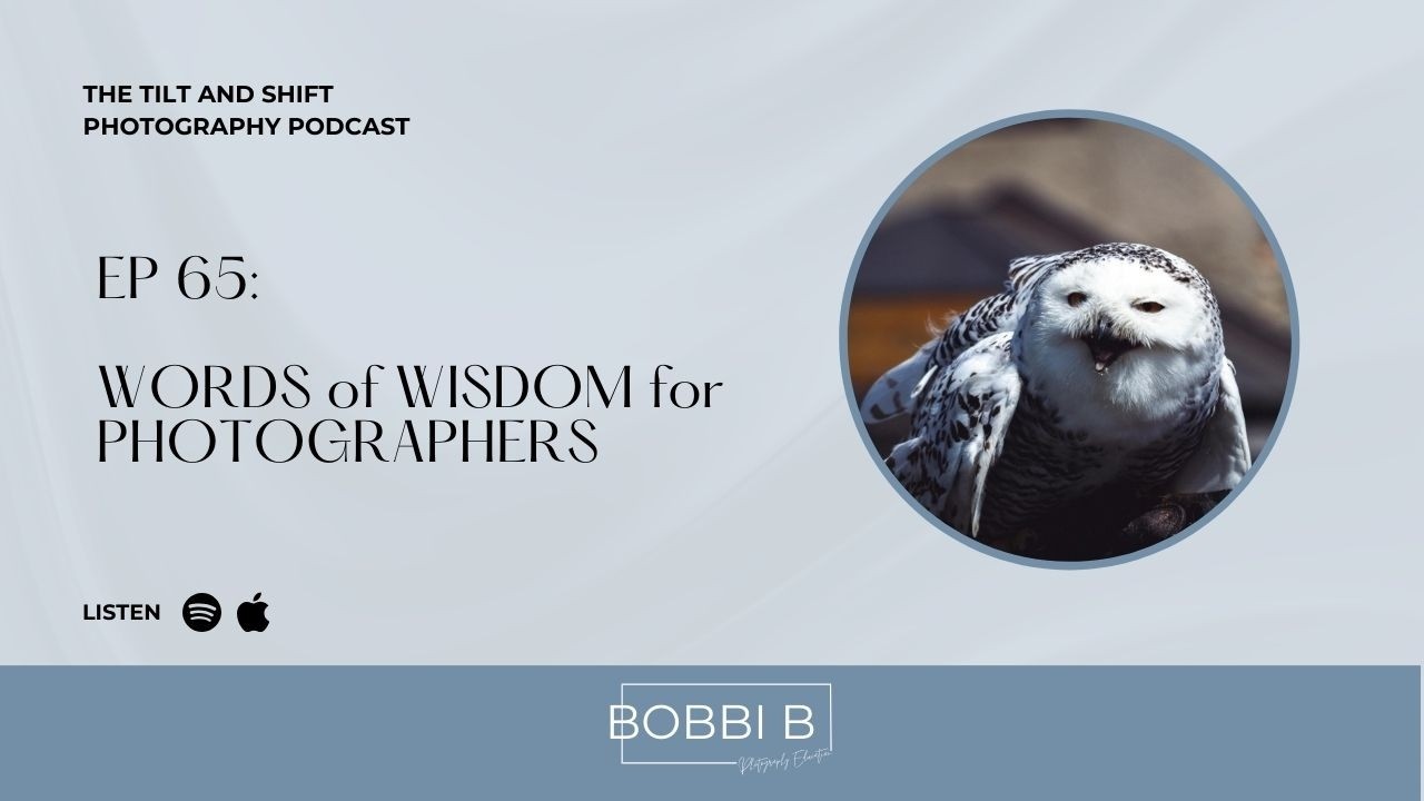 65: WORDS of WISDOM for PHOTOGRAPHERS